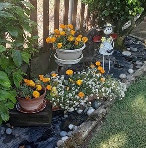 Meet your Posher, Joanne